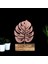 Monstera 1