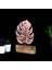 Monstera 3