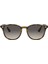 Rb 4259 Col 710/11 51-20 Unisex Güneş Gözlüğü 2