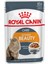 Intense Beauty Soslu Kedi Konservesi 85 gr 1