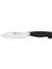 Four Star Santoku Bıçağı 14 cm 1