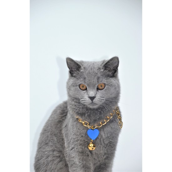 Tropheus Çanta Kedi Tasması Kedi Kolyesi Gold Ayarlanabilir Fiyatı