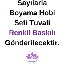 Lilyhobbyland Renkli Baskılı Sayılarla Boyama Hobi Seti Çerçeveli 60 x 75 cm Renkli Bahçe