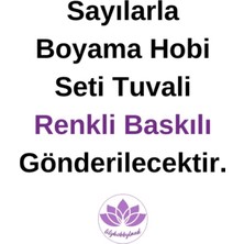 Lilyhobbyland Renkli Baskılı Sayılarla Boyama Hobi Seti Çerçeveli 60 x 75 cm Çilek