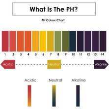 Takım 160 Şerit 1-14 Ph Turnusol Kağıdı Ph Test Şeritleri Su Kozmetik Toprak Ph Test Kağıdı Şeritleri Kontrol Kartı ile (Yurt Dışından)