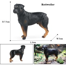 Jelang Oenux Yeni Çiftlik Köpekleri Evcil Hayvan Figürleri Rottweiler Collie Huskie Bulldog Schnauzer Modeli Figürleri Sevimli Ev Dekorasyon Çocuk Oyuncak (Yurt Dışından)