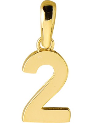 goldkupe 14 Ayar İki Rakamı Altın Kolye Ucu 0,57 gr