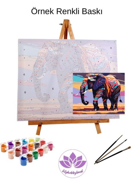 Renkli Baskılı Sayılarla Boyama Hobi Seti Çerçeveli 60 x 75 cm Kitap ve Laleler