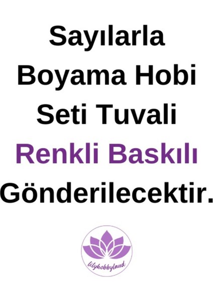 Renkli Baskılı Sayılarla Boyama Hobi Seti Çerçeveli 60 x 75 cm Tek Vesait
