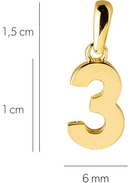 14 Ayar Üç Rakamı Altın Kolye Ucu 0,53 gr fiyatları