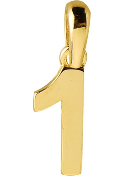 14 Ayar Bir Rakamı Altın Kolye Ucu 0,48 gr