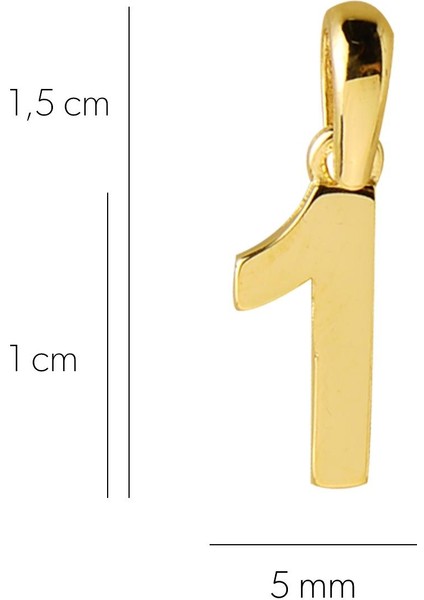 14 Ayar Bir Rakamı Altın Kolye Ucu 0,48 gr fiyatları