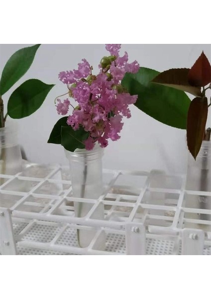 Jınmy- 3 Adet Plastik Test Tüpü Tutucu, 60 Delik, 16 mm Test Tüpleri Için, Beyaz, Çıkarılabilir Laboratuvar Test Tüpü Raf Tutucu (60 Delik) (Yurt Dışından) fırsatları