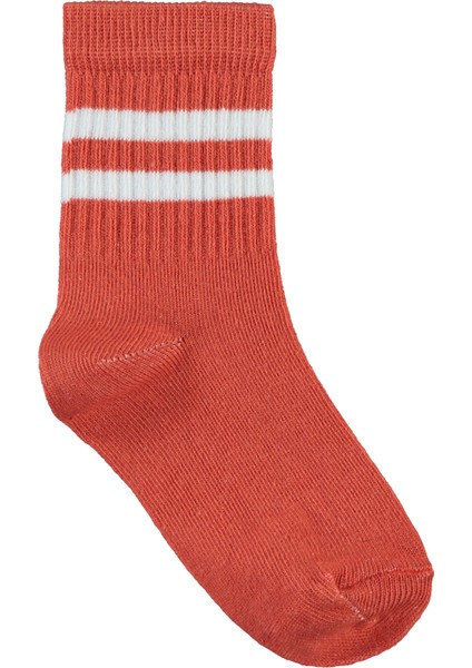 Erkek Çocuk 3'lü Soket Çorap 2-12 Yaş Indigo indirimleri