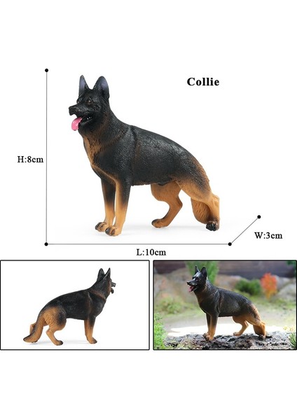 Oenux Yeni Çiftlik Köpekleri Evcil Hayvan Figürleri Rottweiler Collie Huskie Bulldog Schnauzer Modeli Figürleri Sevimli Ev Dekorasyon Çocuk Oyuncak (Yurt Dışından)