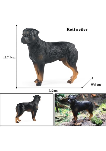 Oenux Yeni Çiftlik Köpekleri Evcil Hayvan Figürleri Rottweiler Collie Huskie Bulldog Schnauzer Modeli Figürleri Sevimli Ev Dekorasyon Çocuk Oyuncak (Yurt Dışından)