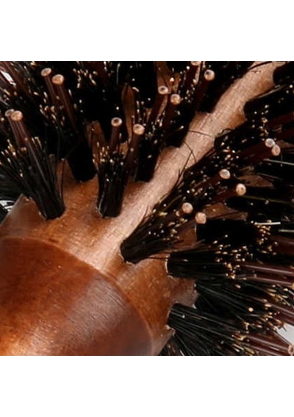 D7YD Domuzu Kıl Yuvarlak Şekillendirici Saç Fırçası Tarak Fön Makinesi Kıvırma Rulo Masaj Saç Fırçası Ahşap Saplı Kadın Erkek Için (Yurt Dışından) indirimleri