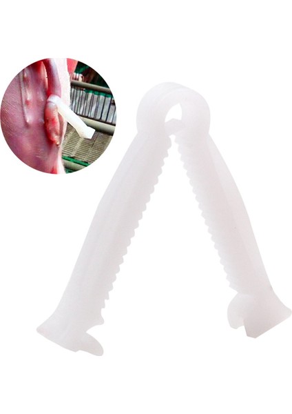 100 Adet Tek Kullanımlık Kelepçeler Hayvanlar Domuz Hayvanları Için Hayvancılık Domuz Ekipmanları (Yurt Dışından) indirimleri