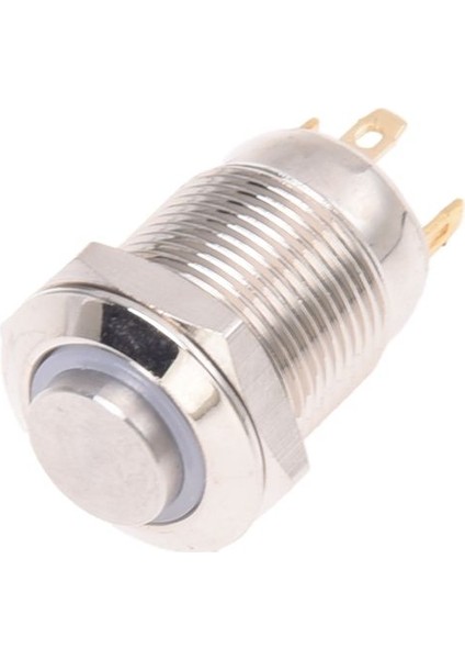 3V Basmalı Düğme Anahtarı Kapı Zili Düğmesi Mavi LED 12 mm Gümüş (Yurt Dışından) fırsatları