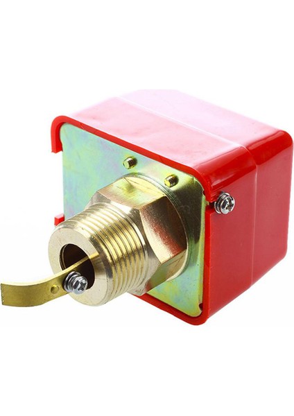 Ac 220V 15A Erkek Konu Spdt Su Kürek Akış Anahtarı Hfs-25 (Yurt Dışından)