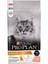 Elegant Somonlu Yetişkin Kedi Maması 10 kg 2