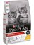 Kitten Tavuklu Yavru Kedi Maması 10 kg 1
