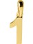 14 Ayar Bir Rakamı Altın Kolye Ucu 0,48 gr 1