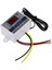 Dijital Sıcaklık Kontrol Cihazı Termostat Kontrol Anahtarı (12V 120W) (Yurt Dışından) 2