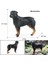 Oenux Yeni Çiftlik Köpekleri Evcil Hayvan Figürleri Rottweiler Collie Huskie Bulldog Schnauzer Modeli Figürleri Sevimli Ev Dekorasyon Çocuk Oyuncak (Yurt Dışından) 4