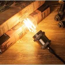 UZMLİGHT  CT-4230 Edison 4W Filament Rustik LED Ampul Günışığı 3000K