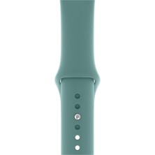 Dijimedia Apple Watch Seri 1/2/3/4/5/6/7/8/se/ultra 38MM 40MM 41MM Kordon Kayış Bileklik Klasik Silikon Kaktüs