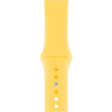 Dijimedia Apple Watch Seri 1/2/3/4/5/6/7/8/se/ultra 38MM 40MM 41MM Kordon Kayış Bileklik Klasik Silikon Sarı