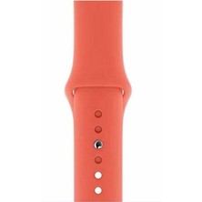 Casetify Apple Watch Seri 1/2/3/4/5/6/7/8/se/ultra 42MM 44MM 45MM 49MM Kordon Kayış Bileklik Klasik Silikon Somon