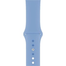Casetify Apple Watch Seri 1/2/3/4/5/6/7/8/se/ultra 42MM 44MM 45MM 49MM Kordon Kayış Bileklik Klasik Silikon Retro Mavi