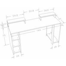 Will Home Willhome Oyuncu Bilgisayar Masası 160 cm Çalışma Masası Ceviz- Antresit