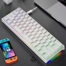 Valkyrie Leaven K620 Blue Switch Mekanik Gaming Oyun Klavyesi Rgb 61 Key Mavi Tuş Type-C Klavye Beyaz