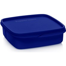 Tupperware Bölmeli Beslenme Kutusu 550ML Gece Mavisi