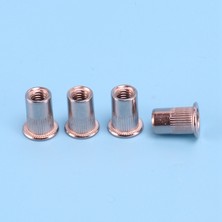 Jelang 100 Adet 304 Paslanmaz Çelik Perçin Somun Rivnut Insert Nutsert M6X15MM (Yurt Dışından)