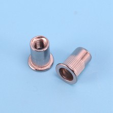 Jelang 100 Adet 304 Paslanmaz Çelik Perçin Somun Rivnut Insert Nutsert M6X15MM (Yurt Dışından)