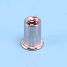 Jelang 100 Adet 304 Paslanmaz Çelik Perçin Somun Rivnut Insert Nutsert M6X15MM (Yurt Dışından)