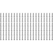 Jelang Flyeer M2 x 8mm 304 Paslanmaz Çelik Phillips Tava Başlı Vidalar Cıvata 120 Adet (Yurt Dışından)