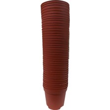 Serada Decor Plant Kaktüs & Sukulent Üretim Saksı 8 cm 50 Adet