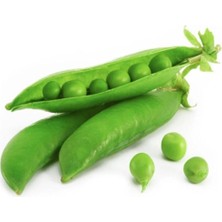 Serada Decor Plant Bezelye Tohumu 10 Adet Tohum Sebze Tohumu