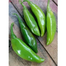 Serada Decor Plant Ithal Nadir Acı Balık Biberi Tohumu 10 Adet Tohum Biber Tohumu