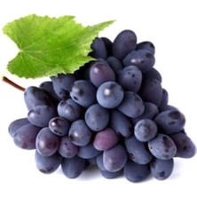 Serada Decor Plant Nadir Siyah Şarköy Üzüm Tohumu 5 Adet Tohum