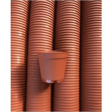 Serada Decor Plant 5.5 cm Sukulent Kaktüs Saksısı 50 Ad.(Kahverengi)