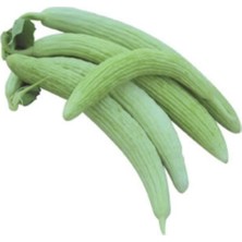 Serada Decor Plant Meşhur Turşuluk Acur Tohumu 20 Tohum