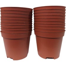 Serada Decor Plant Ucuz Marketim Kaktüs & Sukulent Üretim Saksı 8 cm 10 Adet
