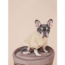 Salya Store Köpek kıyafeti, Köpek Sweatshirt Küçük ve Orta Irk Köpek Kıyafeti 0-15kg