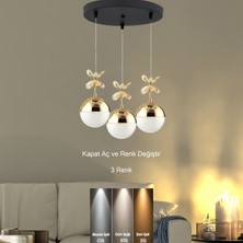 Supply Home 3'lü Modern Sarkıt 3 Renk Toplu LED Avize